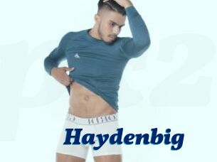 Haydenbig