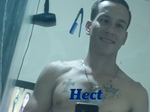 Hect