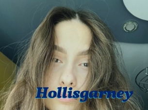 Hollisgarney