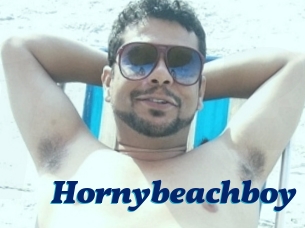 Hornybeachboy