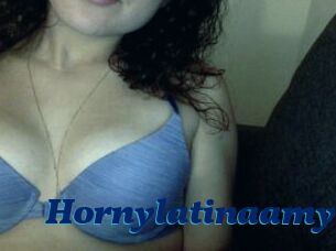 Hornylatinaamy