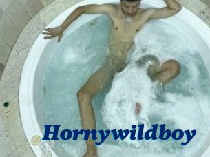 Hornywildboy