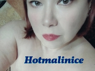 Hotmalinice