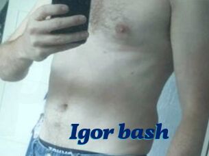 Igor_bash