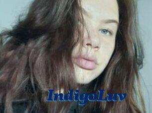 IndigoLuv