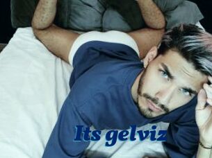 Its_gelviz