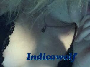 Indicawolf