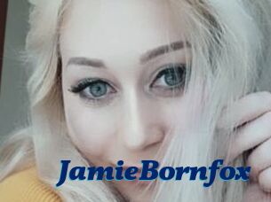 JamieBornfox