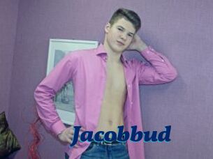 Jacobbud