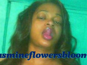 Jasmineflowersbloom