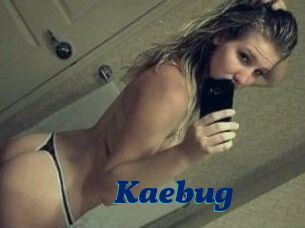 Kaebug