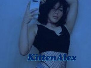 KittenAlex