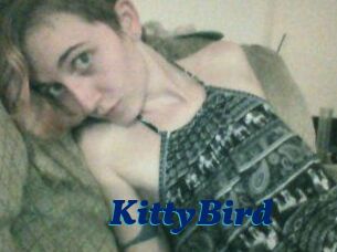 KittyBird