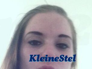 KleineStel