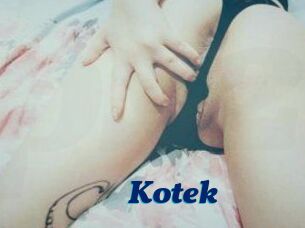 Kotek