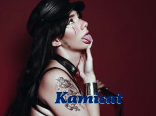 Kamicat