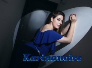 Karinanoire