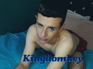 Kingdomkey