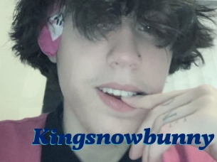 Kingsnowbunny