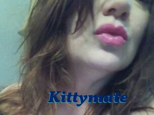 Kittymate