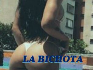 LA_BICHOTA