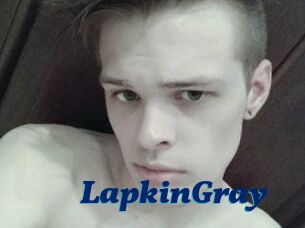 LapkinGray