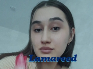 Lamareed