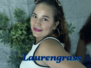 Laurengrass