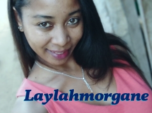 Laylahmorgane