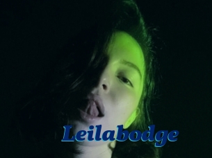 Leilabodge