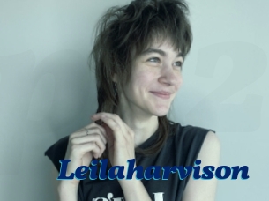 Leilaharvison