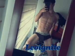 Leoignite