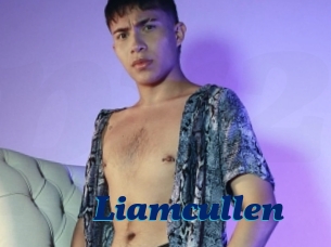 Liamcullen