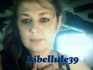 Libellule39