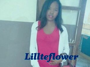 Lillteflower