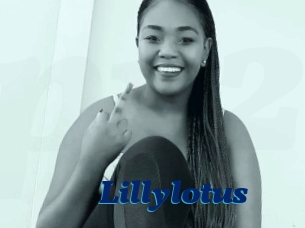 Lillylotus