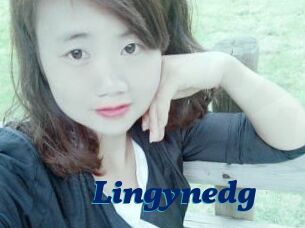 Lingynedg