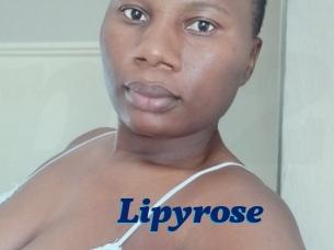lipyrose Px 24