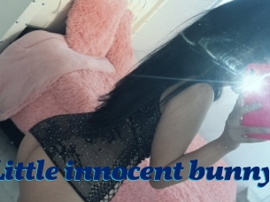 Little_innocent_bunny