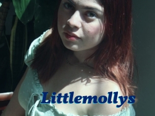 Littlemollys