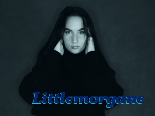 Littlemorgane