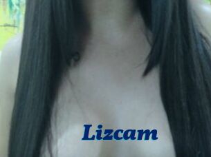 Lizcam