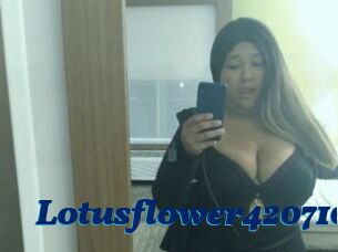 Lotusflower420710