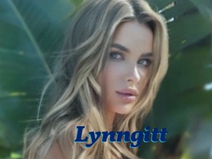 Lynngitt