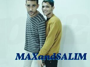 MAXandSALIM