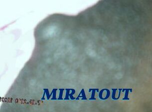 MIRATOUT