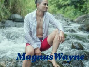 MagnusWayne