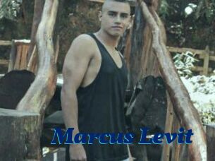 Marcus_Levit