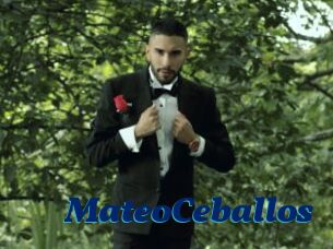 MateoCeballos