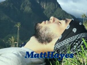 MattHayes